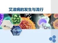 冀教版七年级下册生物 6.3 艾滋病的发生与流行 课件