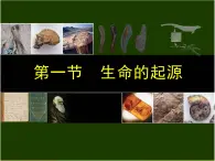 冀教版八年级下册生物  6.3.1生命的起源 课件