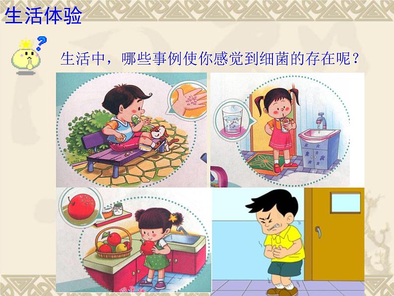 苏科版七年级下册生物 13.2土壤里的微生物 课件第3页