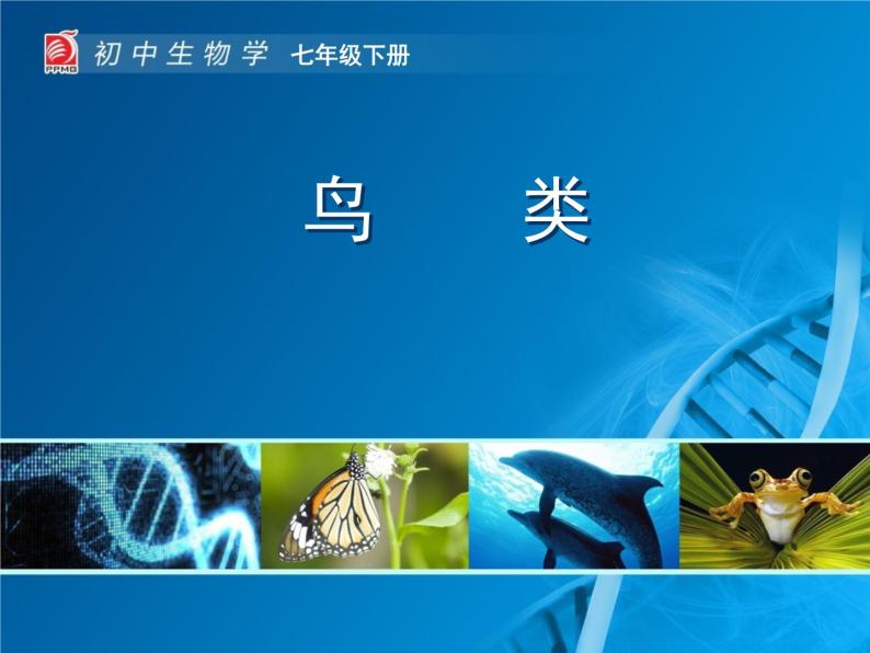 苏科版七年级下册生物 12.1鸟类 课件01