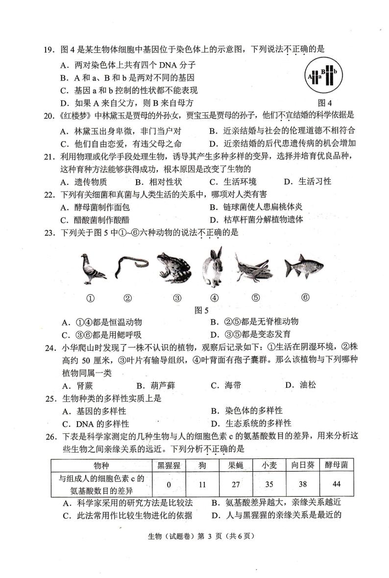2022年广西梧州市初中学考抽样调研测试（一模）生物试题03