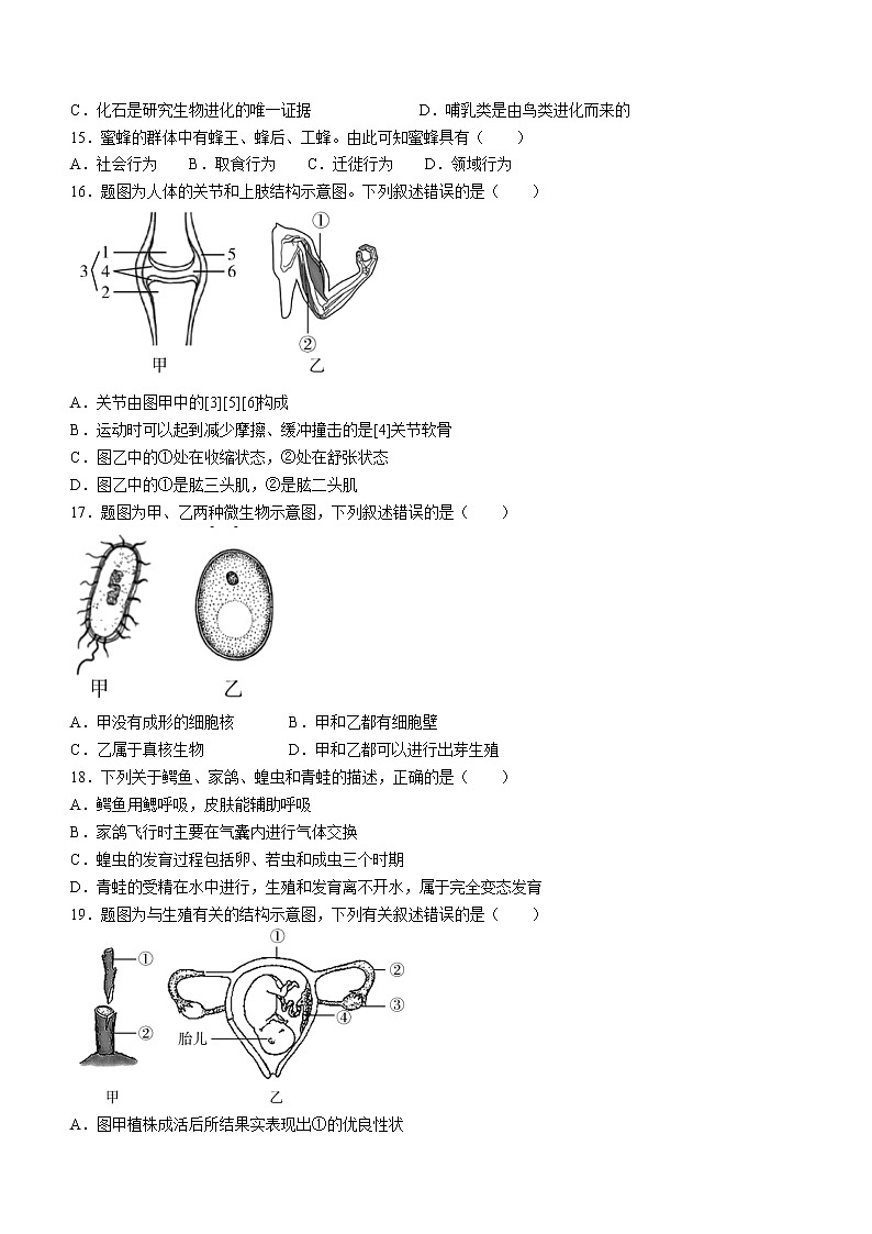 2022年广东省阳江市中考一模生物试题第3页