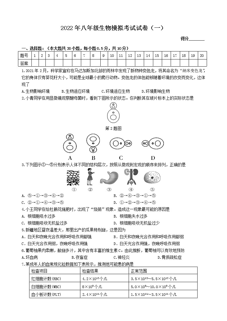 2022年江苏省盐城市射阳县第一次模拟考试生物试卷(word版含答案)01