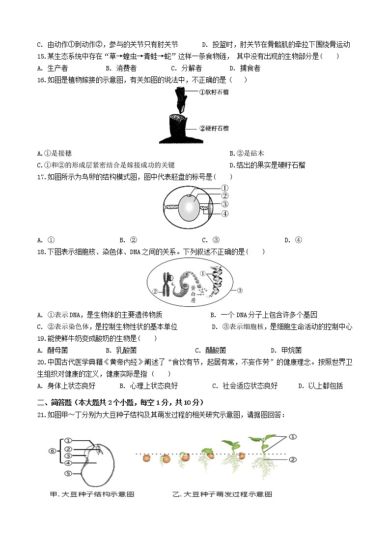2022年江苏省盐城市射阳县第一次模拟考试生物试卷(word版含答案)03