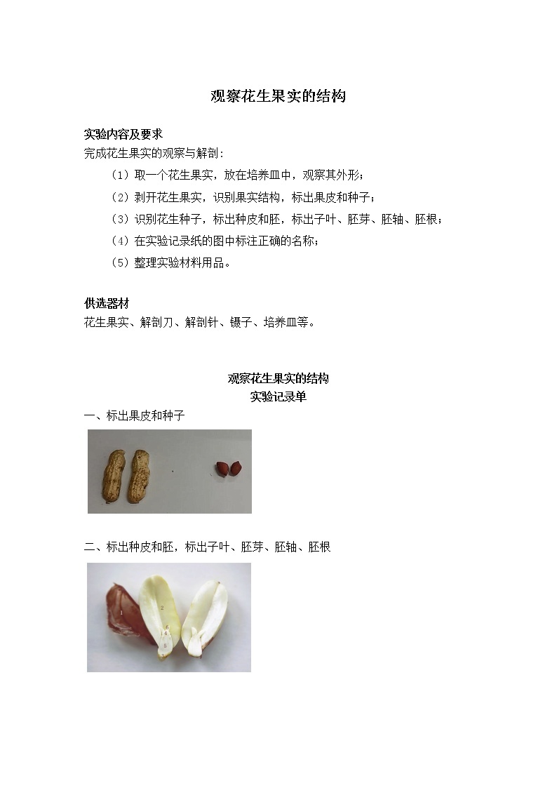 初中生物苏教版七年级实验操作题库-10观察花生果实的结构01