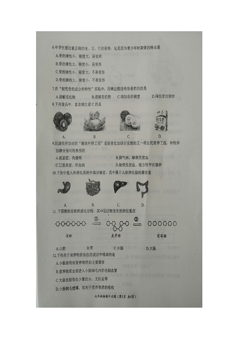 江苏省盐城市滨海县2021-2022学年七年级下学期期中生物试题(有答案)02
