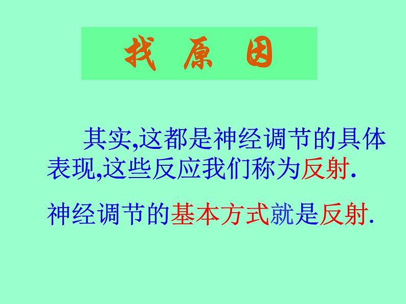 北京版七下生物  8.2 神经调节的基本方式  课件第4页