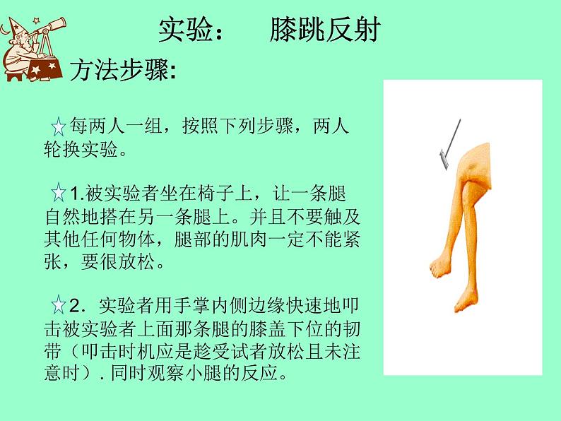 北京版七下生物  8.2 神经调节的基本方式  课件第5页