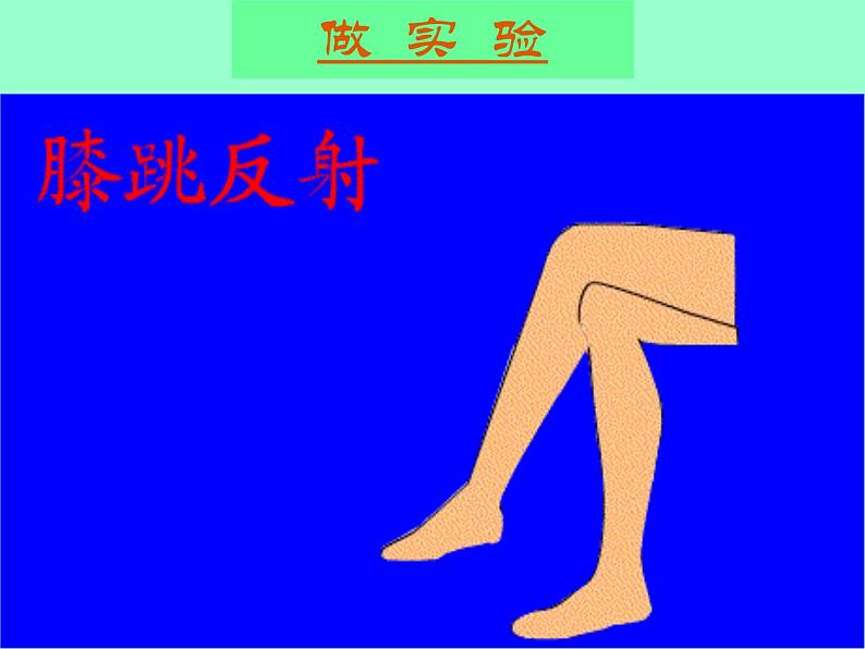 北京版七下生物  8.2 神经调节的基本方式  课件第7页