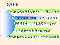 初中北京版第七章 生物的排泄第三节 汗液的排出备课ppt课件
