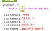 北京版七年级下册第二节 绿色植物的呼吸教案配套课件ppt