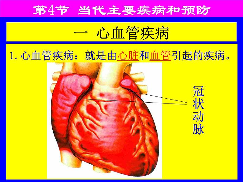 北师大版七下生物 13.4当代主要疾病和预防 课件第6页