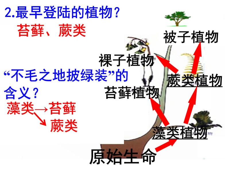 济南版八下生物  5.1.3生物进化的历程  课件03