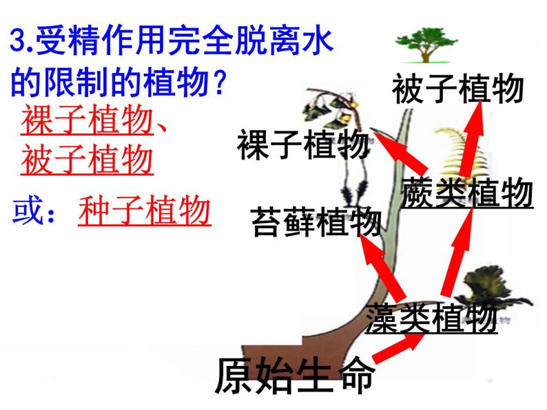 济南版八下生物  5.1.3生物进化的历程  课件04