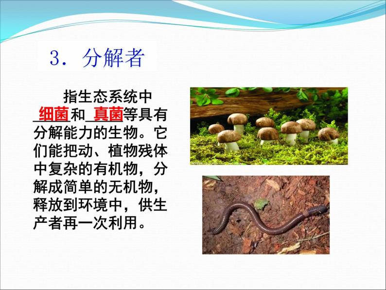 冀教版八下生物 7.2.1生态系统的组成和类型 课件08
