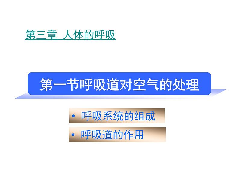 人教版七下生物 3.1呼吸道对空气的处理 课件01