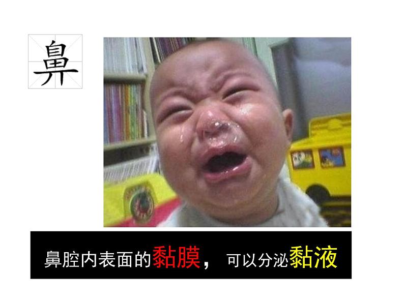 人教版七下生物 3.1呼吸道对空气的处理 课件05
