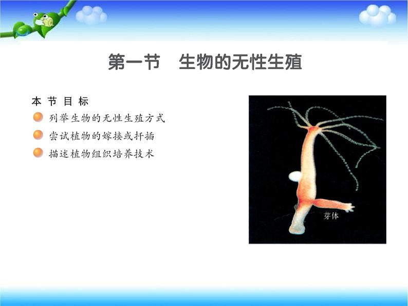 苏教版八下生物 21.1生物的无性生殖 课件07