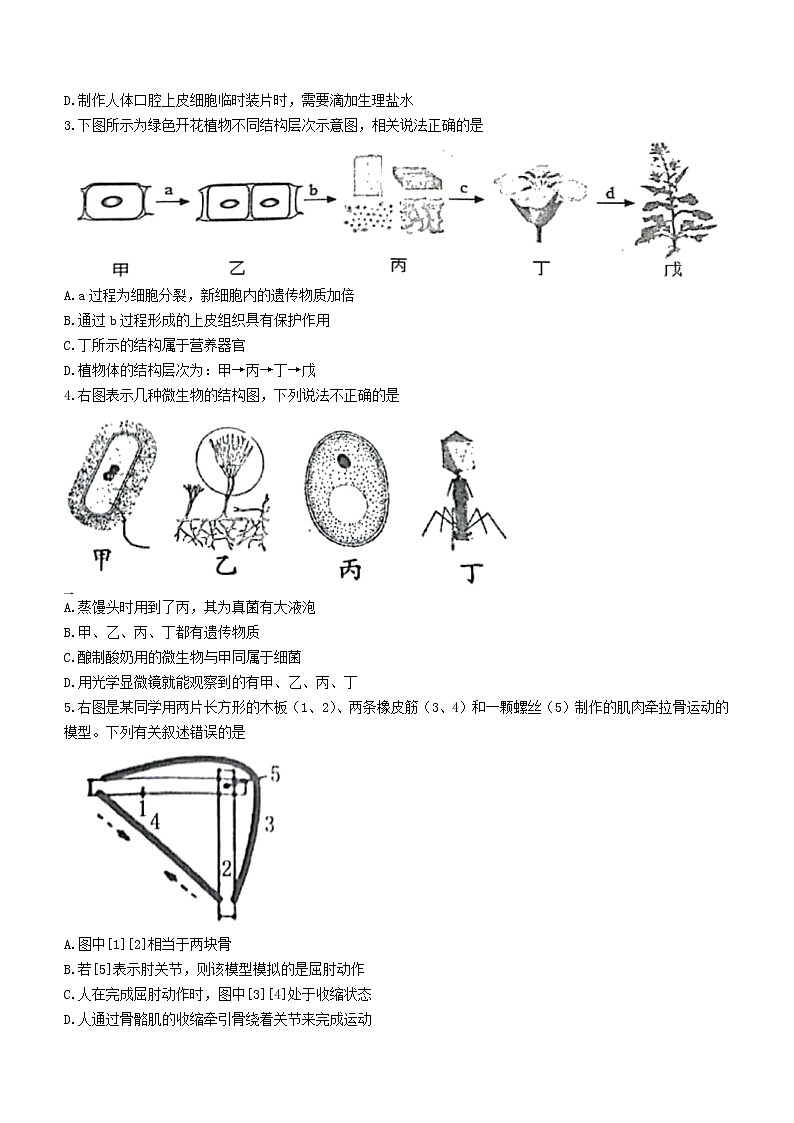2022年山東省菏澤東明縣初三二模生物試題第2頁