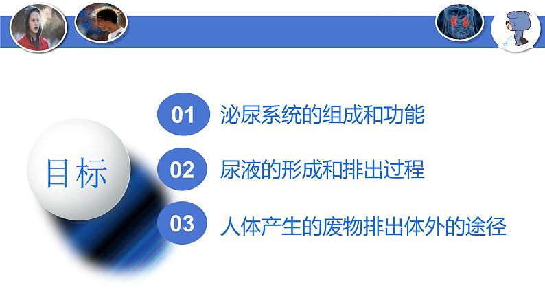 4-5人体内废物的排出-【高效同步】2021-2022学年七年级生物下学期同步精品备课课件(人教版)第2页