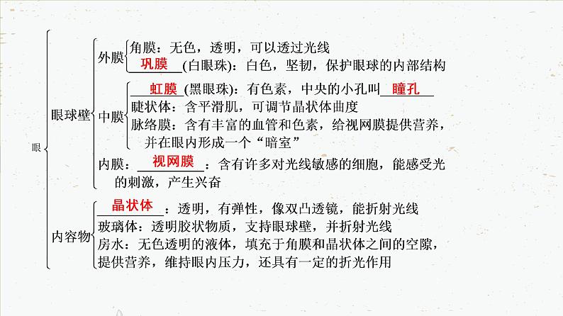 4-6-1人体对外界环境的感知-2021-2022学年七年级生物下学期同步精品课件(人教版)第7页