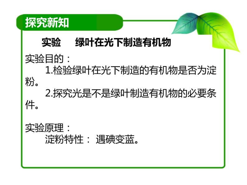 初中生物北京版七年级上册 绿色植物的光合作用绿叶在光下制造有机物部优课件04