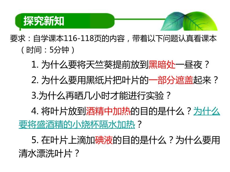 初中生物北京版七年级上册 绿色植物的光合作用绿叶在光下制造有机物部优课件05