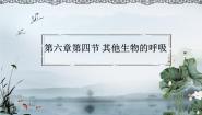 北京版七年级下册第六章 生物的呼吸第三节 其他生物的呼吸课文课件ppt