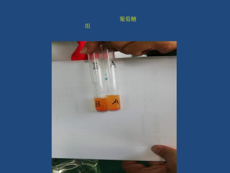 初中生物北京版七年级上册 人和动物的营养食物在人体内的消化部优课件05