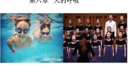北京版七年级下册第一节 人的呼吸集体备课课件ppt