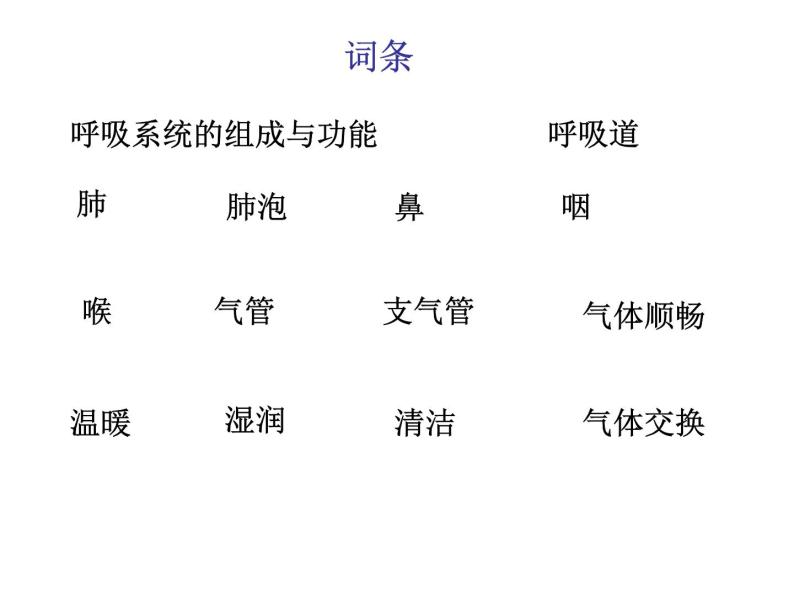 初中生物北京版七年级下册4气体交换第六章 人的呼吸部优课件03