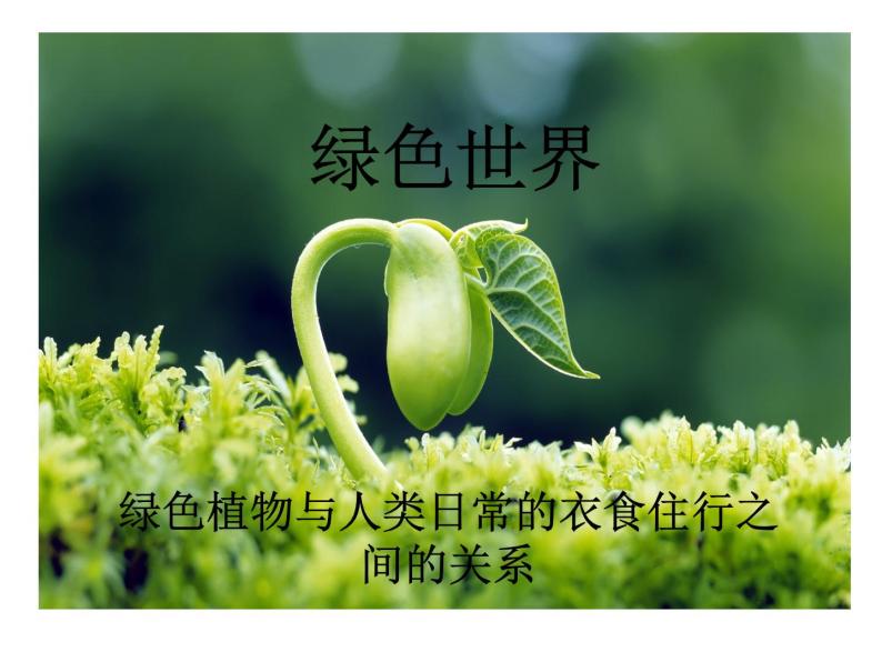 初中生物北师大版七年级上册 绿色植物在生物圈中的作用绿色植物与生活的联系（学生讲解）部优课件01