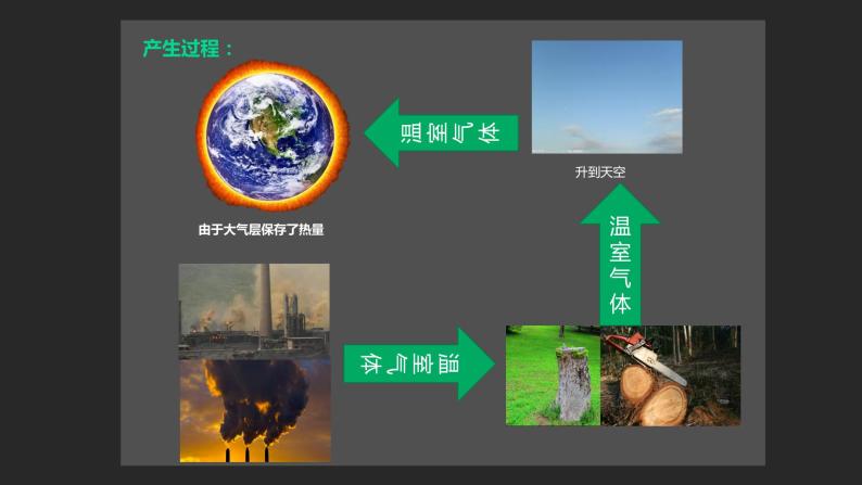 初中生物北师大版七年级上册 绿色植物在生物圈中的作用温室效应（学生讲解）部优课件05