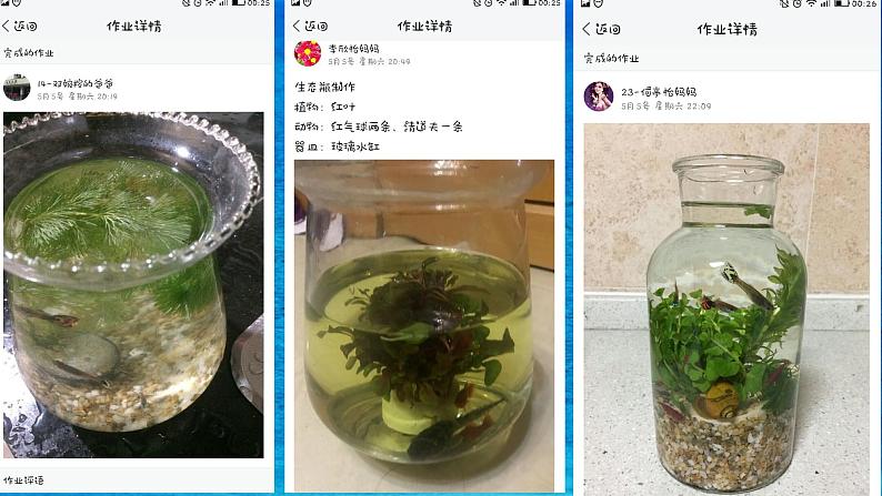 初中生物北师大版八年级下册 生态系统的稳定性部优课件08