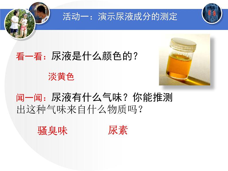初中生物北师大版七年级下册 人体产生的代谢废物 (1)部优课件第2页