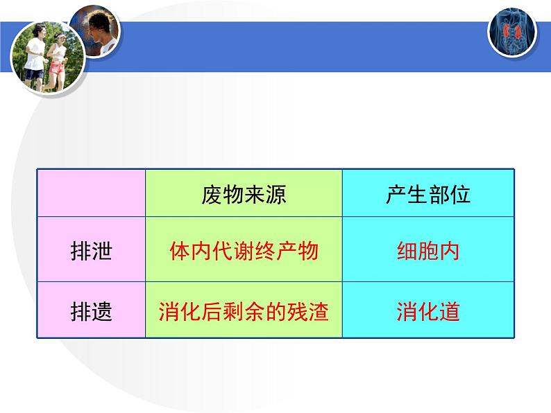 初中生物北师大版七年级下册 人体产生的代谢废物 (1)部优课件第7页