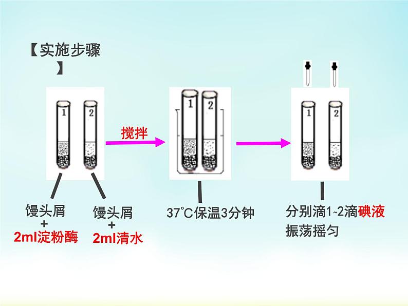 初中生物冀少儿版七年级下册 食物的消化食物在口腔中的消化部优课件06