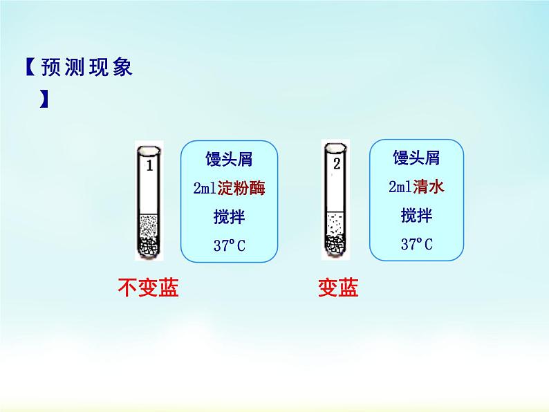 初中生物冀少儿版七年级下册 食物的消化食物在口腔中的消化部优课件07