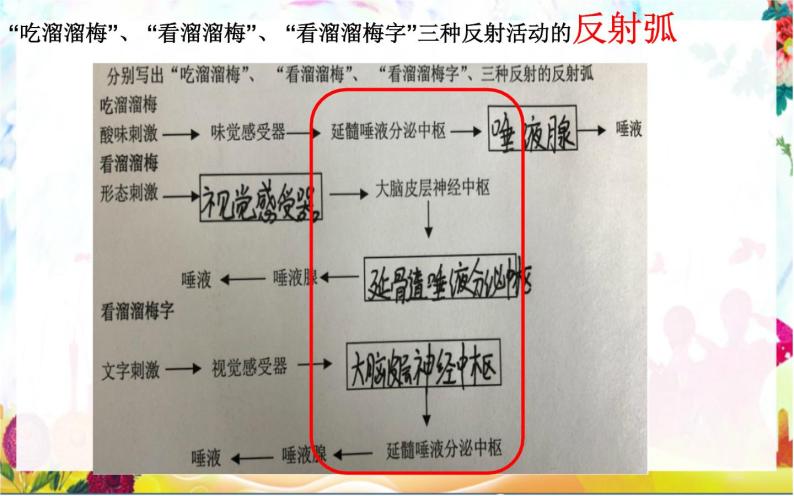 初中生物沪教版八年级上册神经调节的基本方式——反射部优课件05