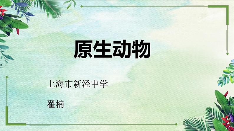 初中生物沪教版八年级下册《原生动物》部优课件第1页