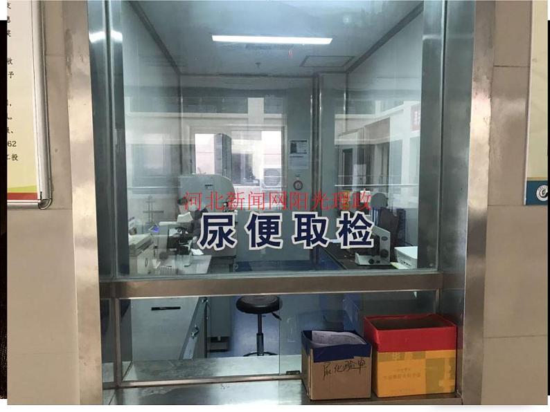 初中生物济南版七年级下册 尿液的形成和排出部优课件第2页