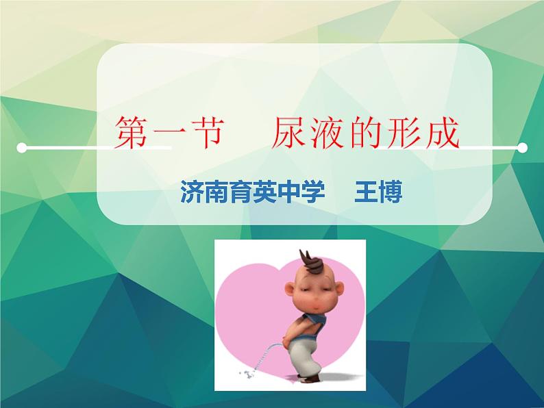 初中生物济南版七年级下册 尿液的形成和排出部优课件第3页