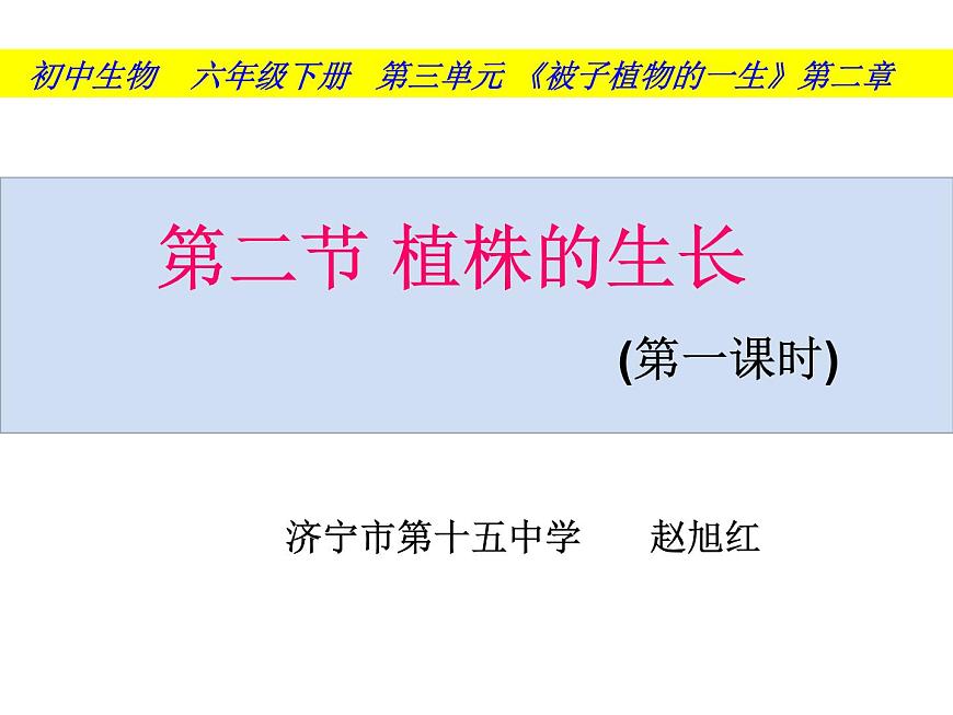 初中生物魯科版六年級(jí)下冊(cè) 植株的生長(zhǎng)部?jī)?yōu)課件第4頁(yè)