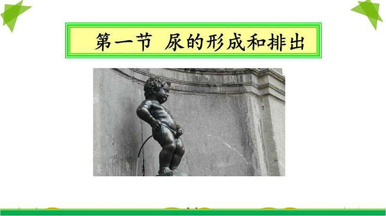 初中生物鲁科版七年级上册 尿的形成和排出部优课件第2页