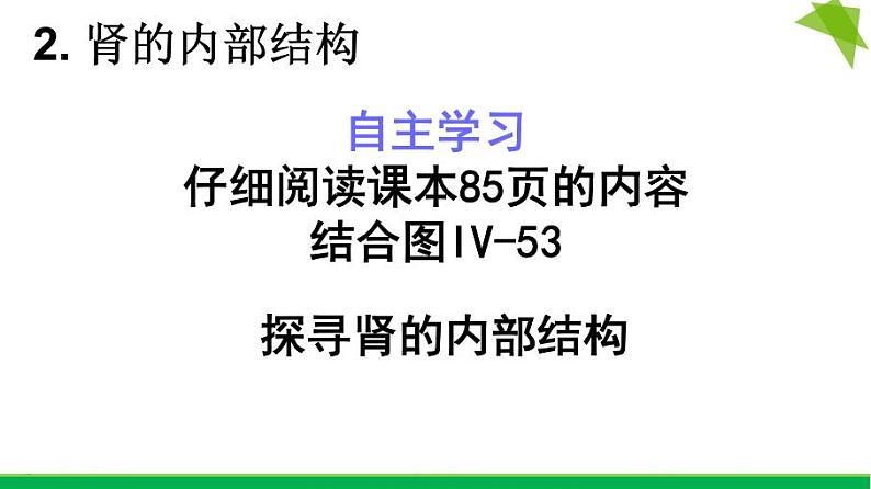 初中生物鲁科版七年级上册 尿的形成和排出部优课件第5页