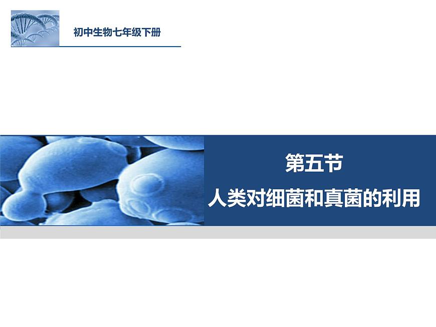 初中生物魯科版七年級(jí)下冊(cè) 人類對(duì)細(xì)菌和真菌的利用部?jī)?yōu)課件第2頁