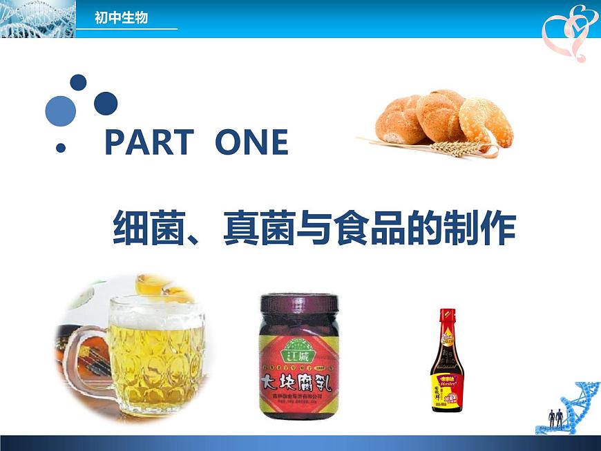 初中生物魯科版七年級(jí)下冊(cè) 人類對(duì)細(xì)菌和真菌的利用部?jī)?yōu)課件第3頁