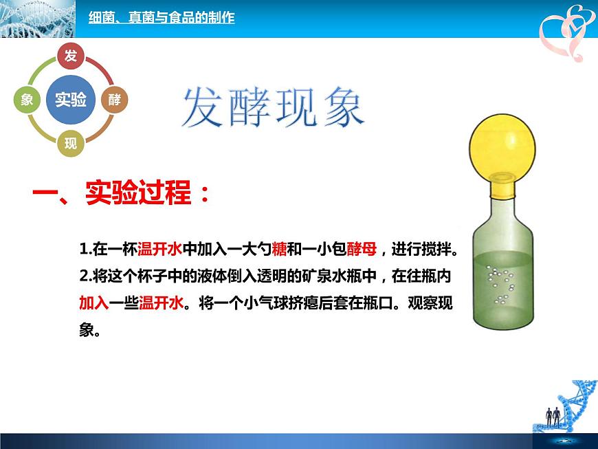初中生物魯科版七年級(jí)下冊(cè) 人類對(duì)細(xì)菌和真菌的利用部?jī)?yōu)課件第4頁