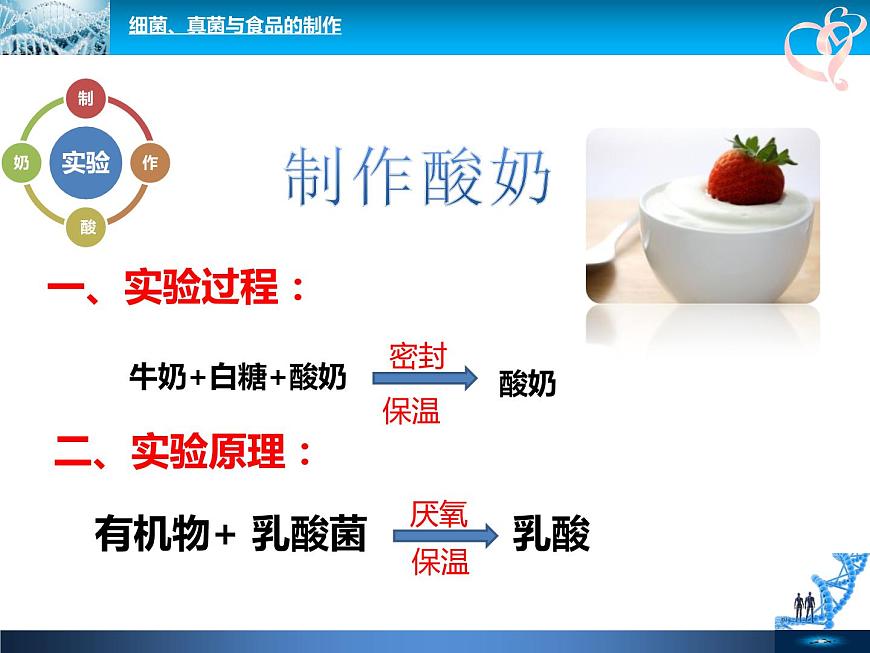 初中生物魯科版七年級(jí)下冊(cè) 人類對(duì)細(xì)菌和真菌的利用部?jī)?yōu)課件第5頁