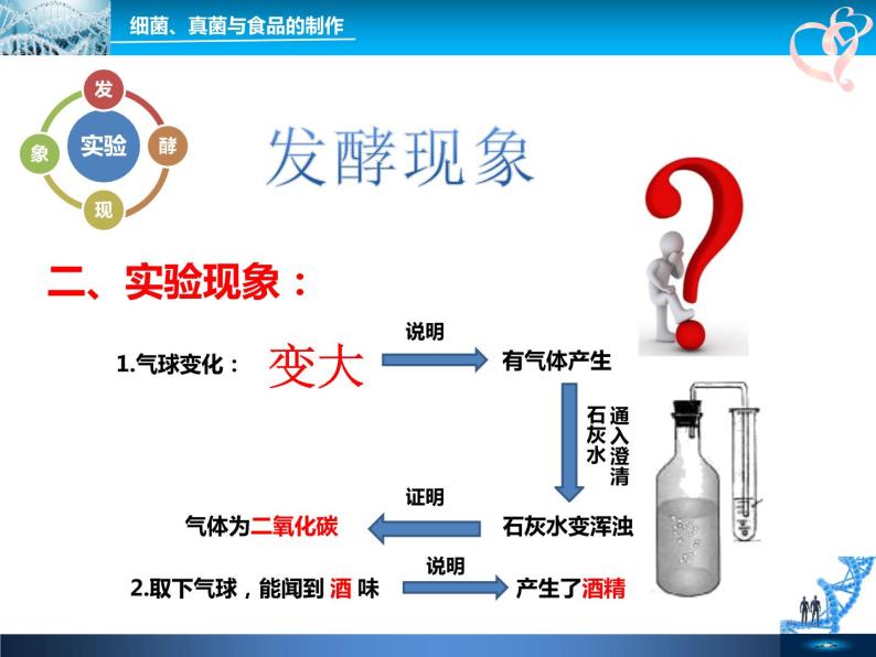 初中生物鲁科版七年级下册 人类对细菌和真菌的利用部优课件06